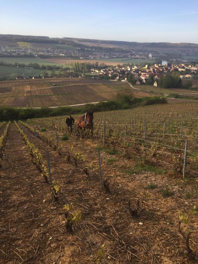 Villa L'Insouciance En Champagne Vincelles  Eksteriør bilde