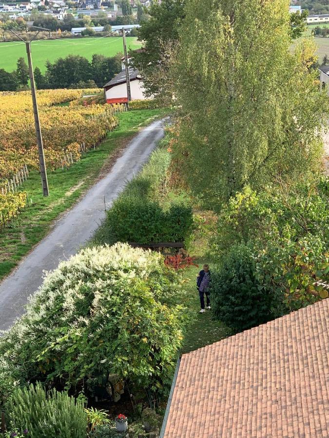 Villa L'Insouciance En Champagne Vincelles  Eksteriør bilde